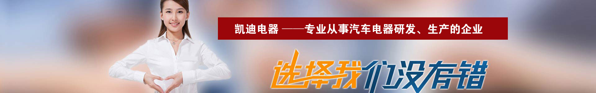 新乡市凯迪电器有限公司